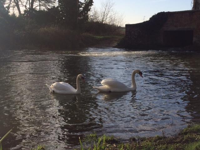 Sculthorpe Mill Hotel Fakenham Buitenkant foto