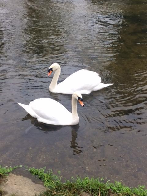 Sculthorpe Mill Hotel Fakenham Buitenkant foto